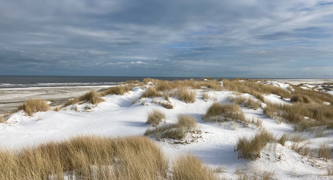 Winter op het strand van Schiermonnikoog