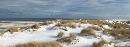 Winter op het strand van Schiermonnikoog