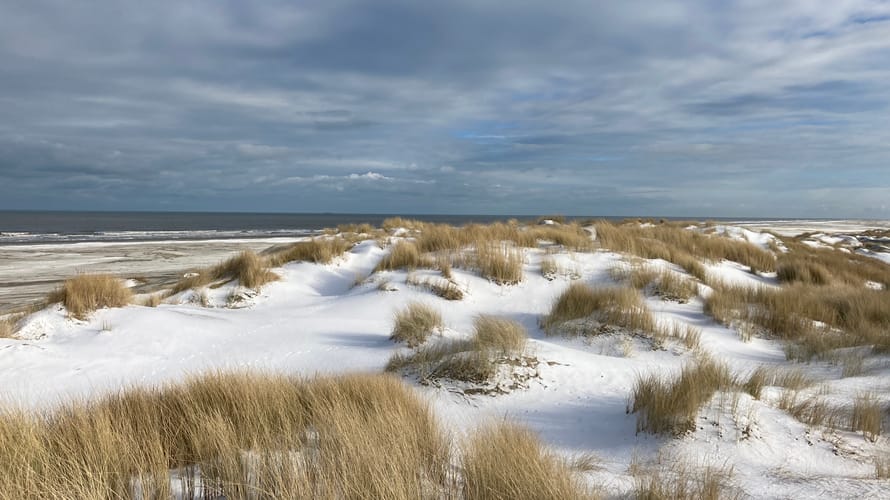 Winter op het strand van Schiermonnikoog