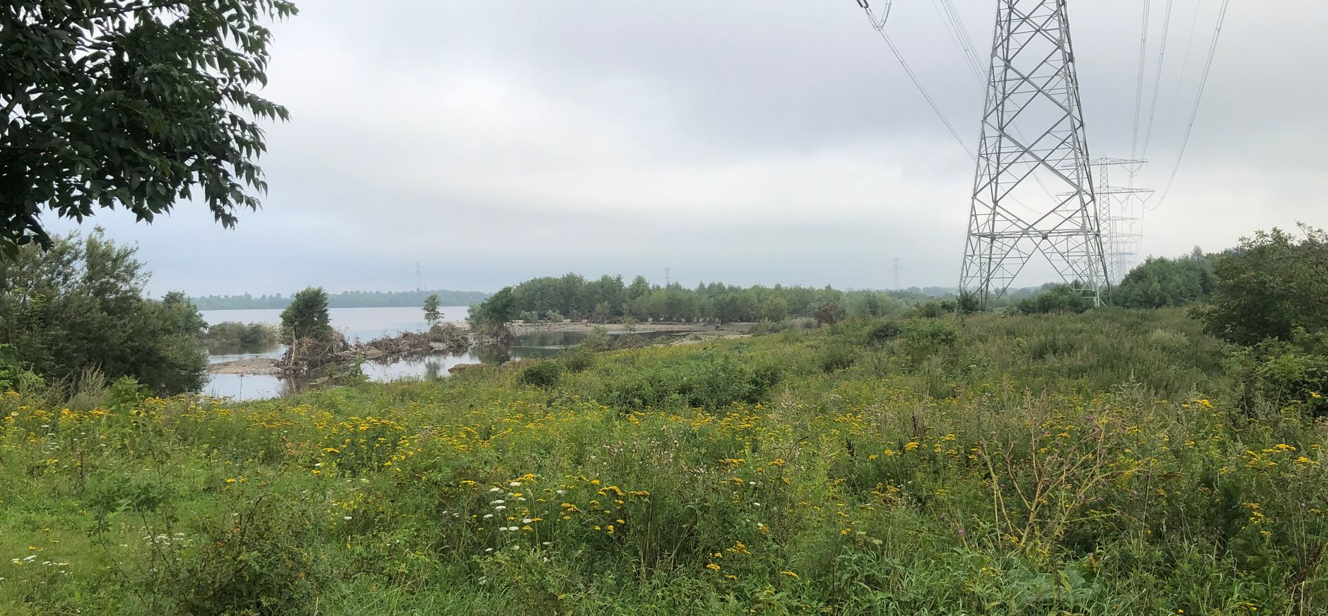 Molenplas na zomerhoogwater - augustus 2021