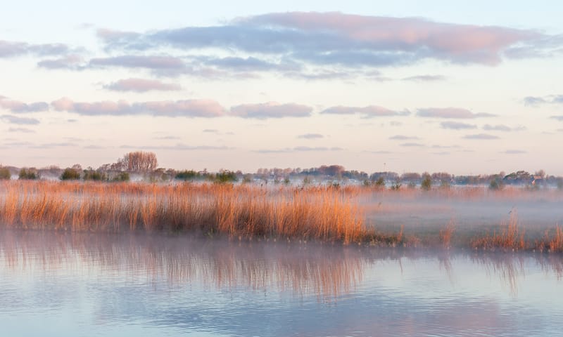 Vlietlanden