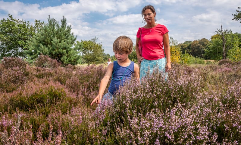 Wandelen heide - OERRR