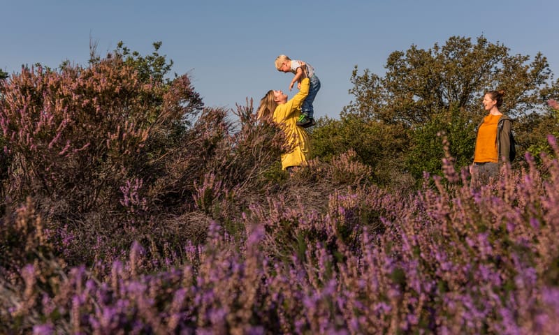 Gezin heide - OERRR
