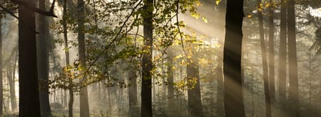 Landgoed Beekhuizen herfst