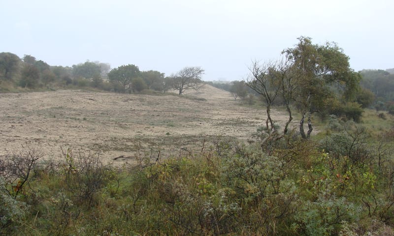 oktober 2012, na de ingreep: een kale vlakte