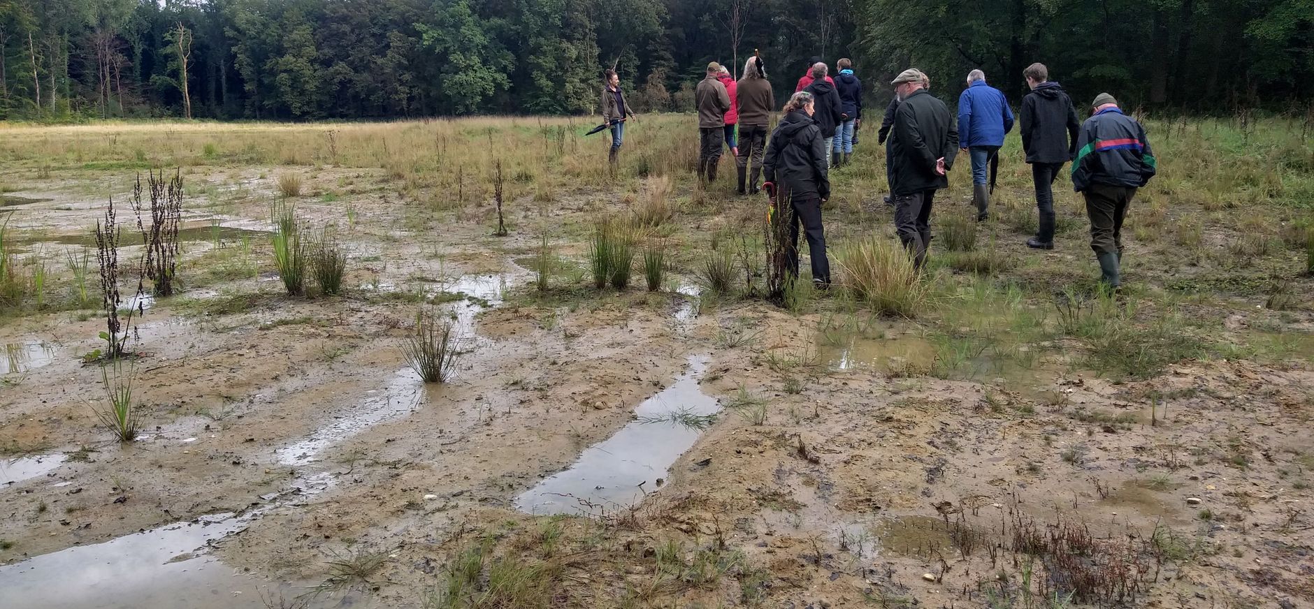 Oplevering N2000 project Wooldse Veen