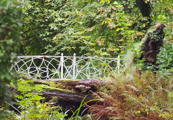 Bruggen op De Tempel