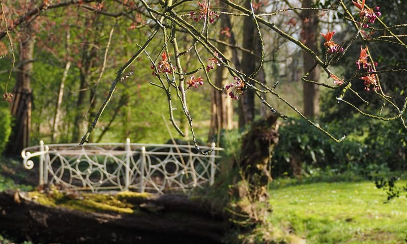 Bruggen op Buitenplaats De Tempel