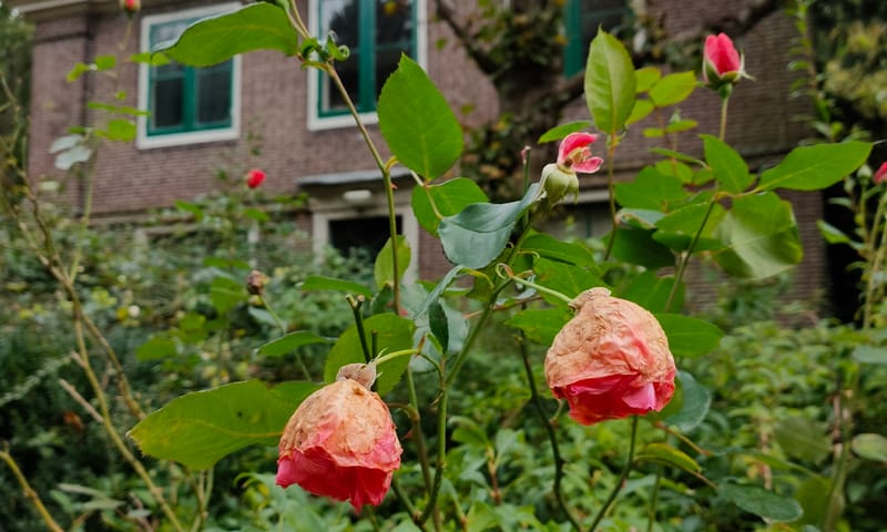 Het koetshuis op De Tempel in de herfst