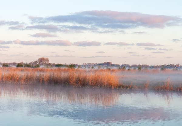 Polderwandeling Midden-Delfland Vlietlanden