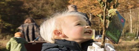 Boomophaaldag