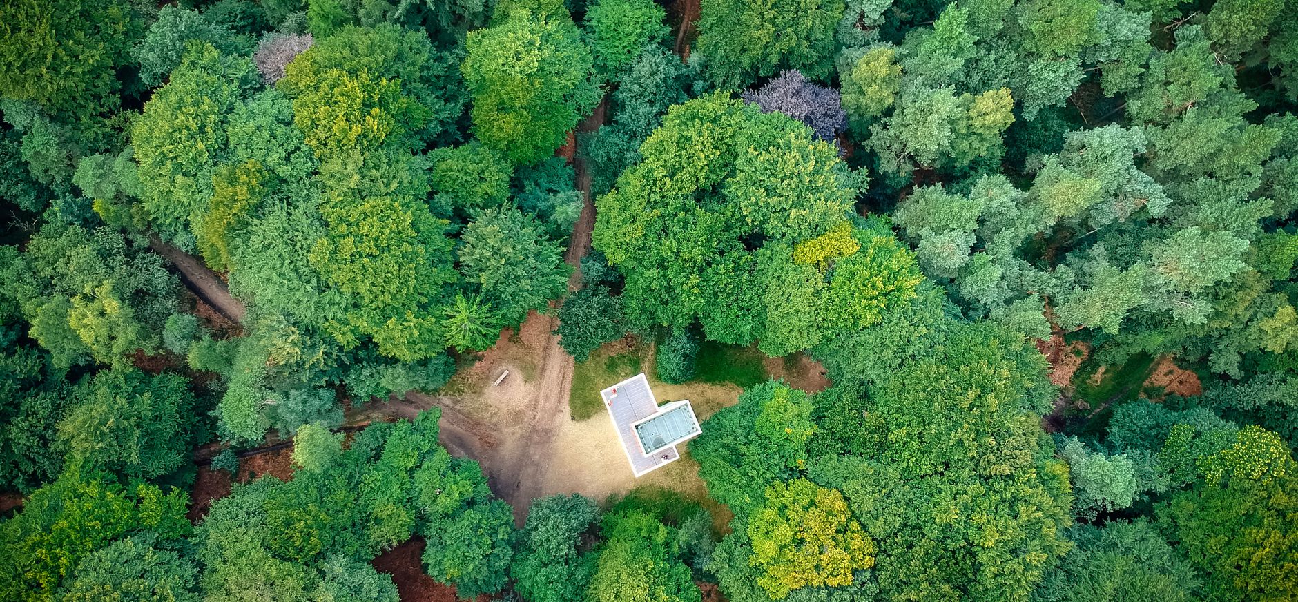 Uitkijktoren De Kaap in de Kaapse Bossen