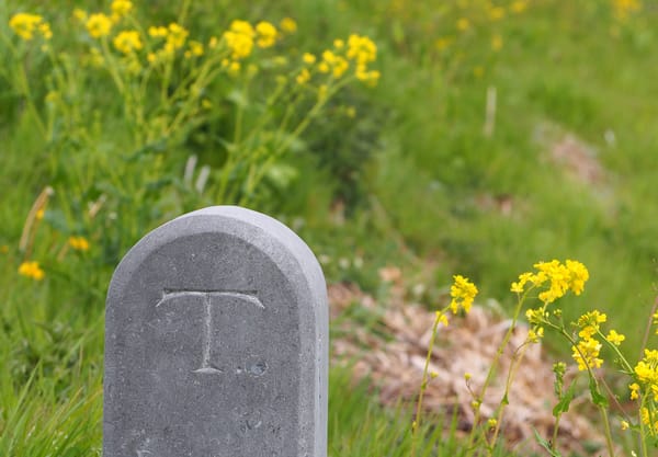 Polderwandeling steen Oude Tempel
