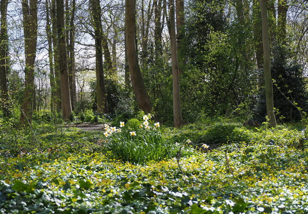 Parkgedeelte De Tempel