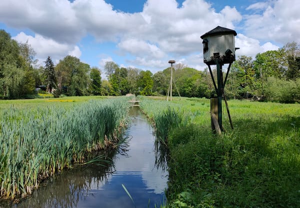Polderwandeling Poldertje Buitenplaats De Tempel