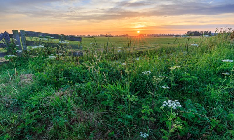 Polderwandeling Polder Noord-Kethel