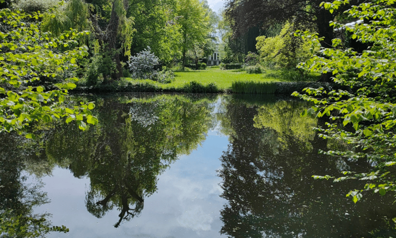 Vierkante vijver zwanenvijver De Tempel