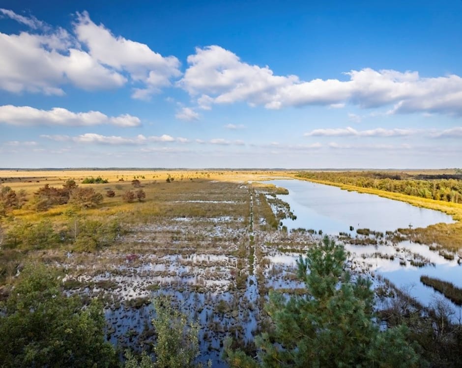 Fochteloërveen Toekomstbestendig