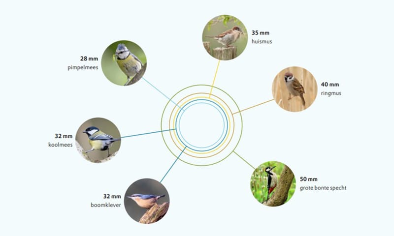 Grootte vliegopeningen tuinvogels