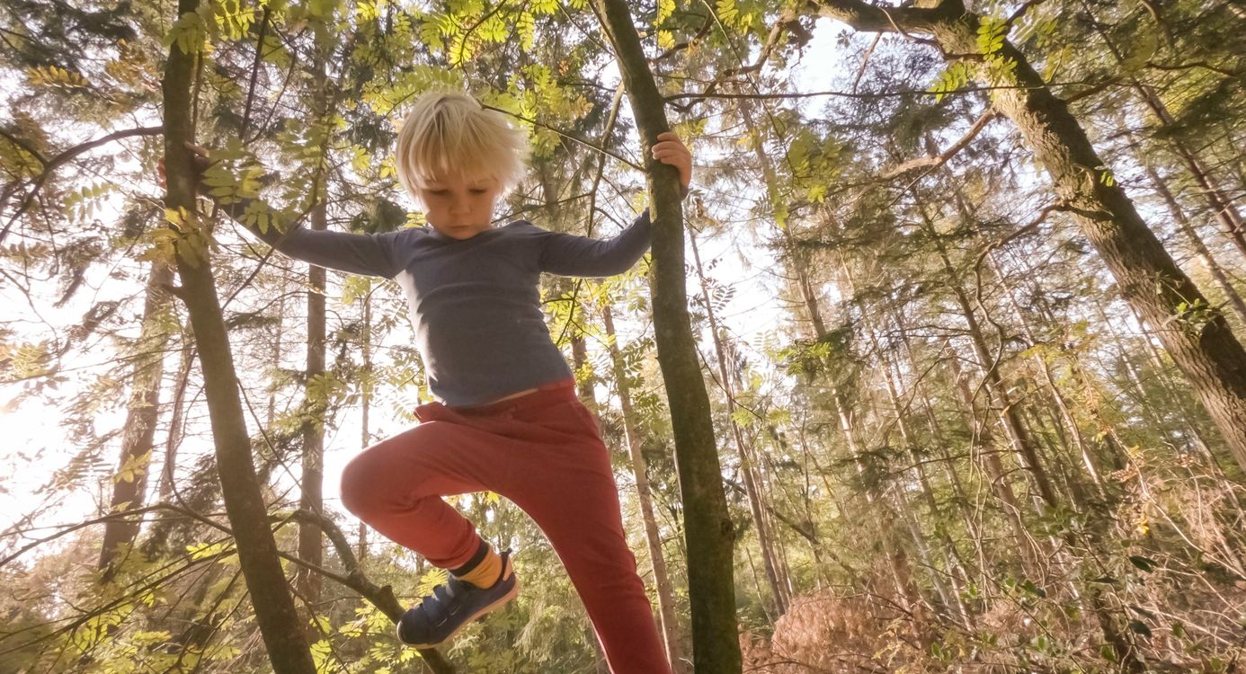 bezoekerscentrum Veluwezoom speuren