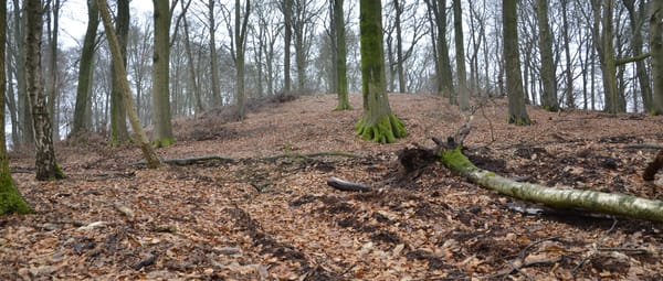 Rouwenberg tegenwoordig