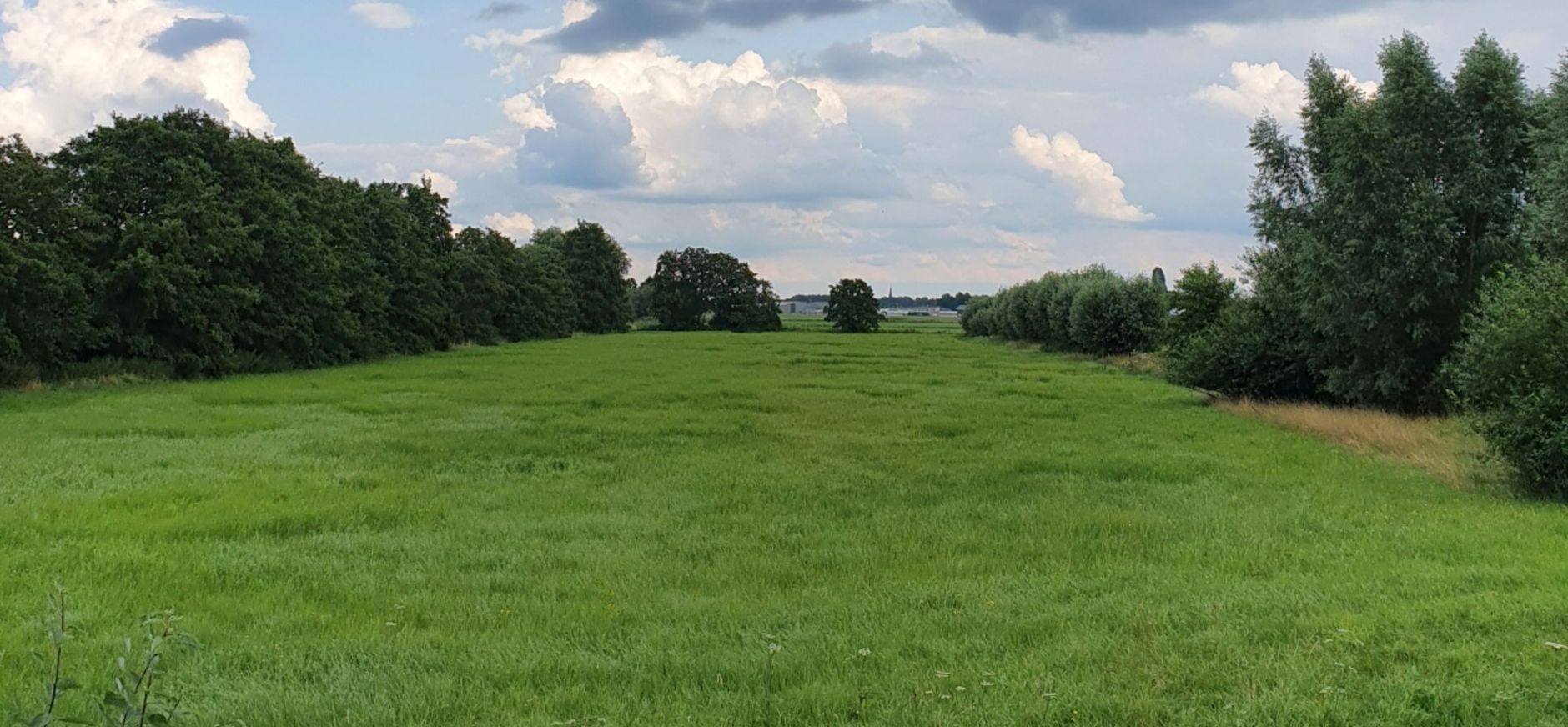 Laatste slag voor ontwikkeling nieuwe natuur Weteringse Broek