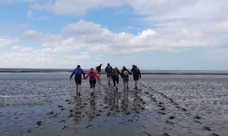Wadlopen op Schiermonnikoog