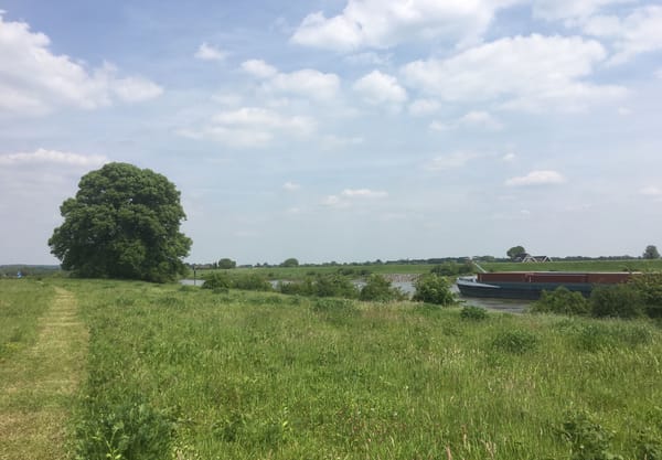 Het uitgemaaide pad langs de IJssel
