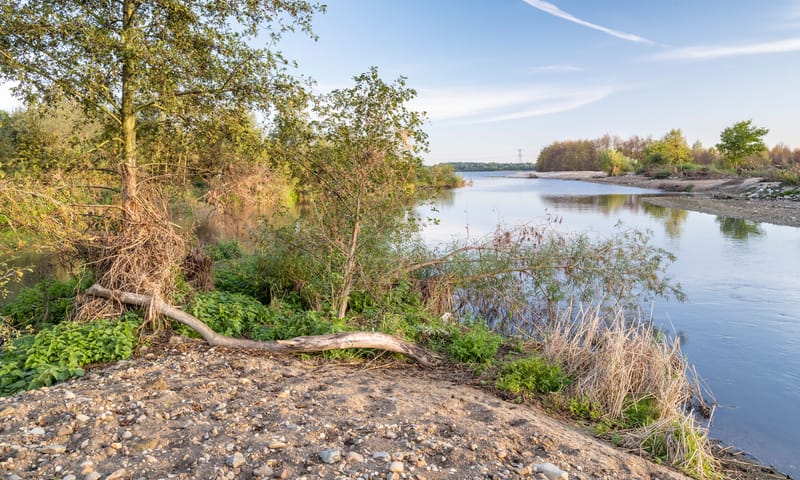 Nieuwe zand- en grindafzetttingen bij de Molenplas.