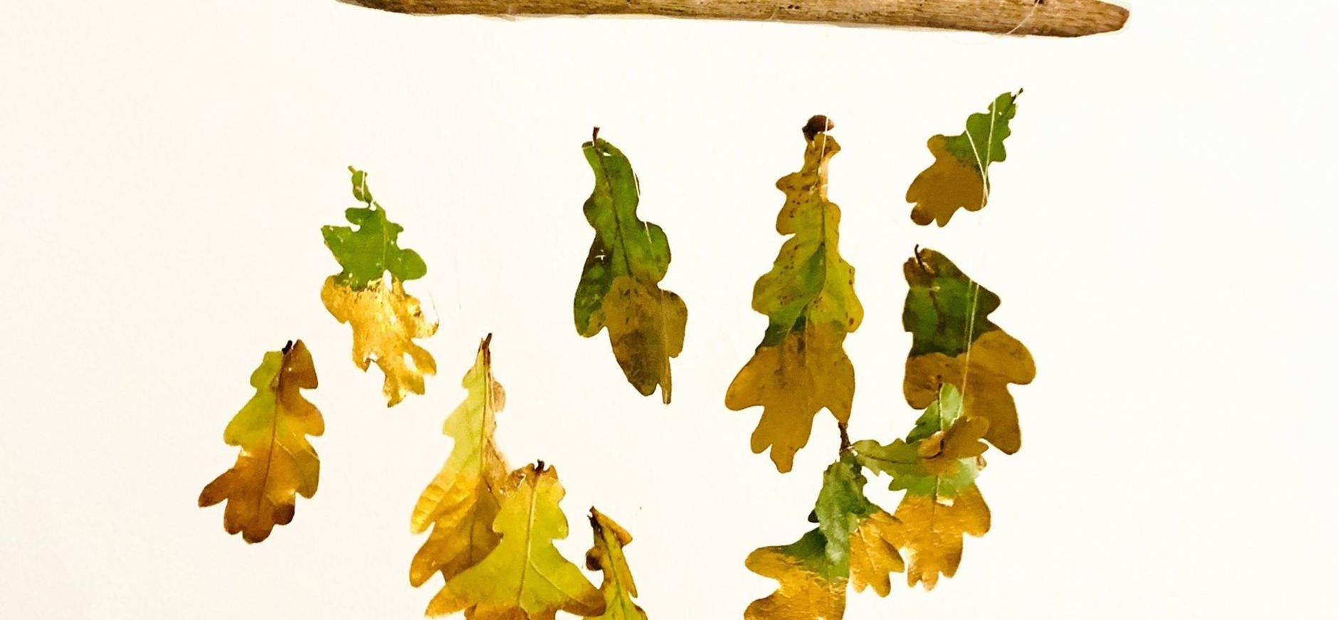 Bladerhanger OERRR knutsel