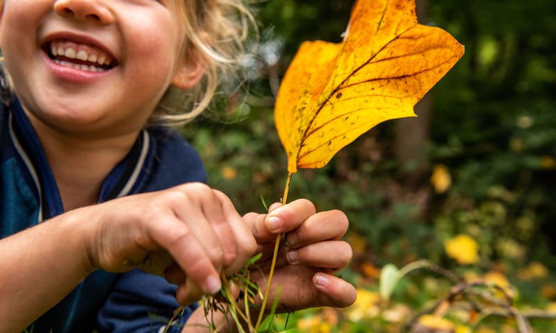 Kind spelend met blad