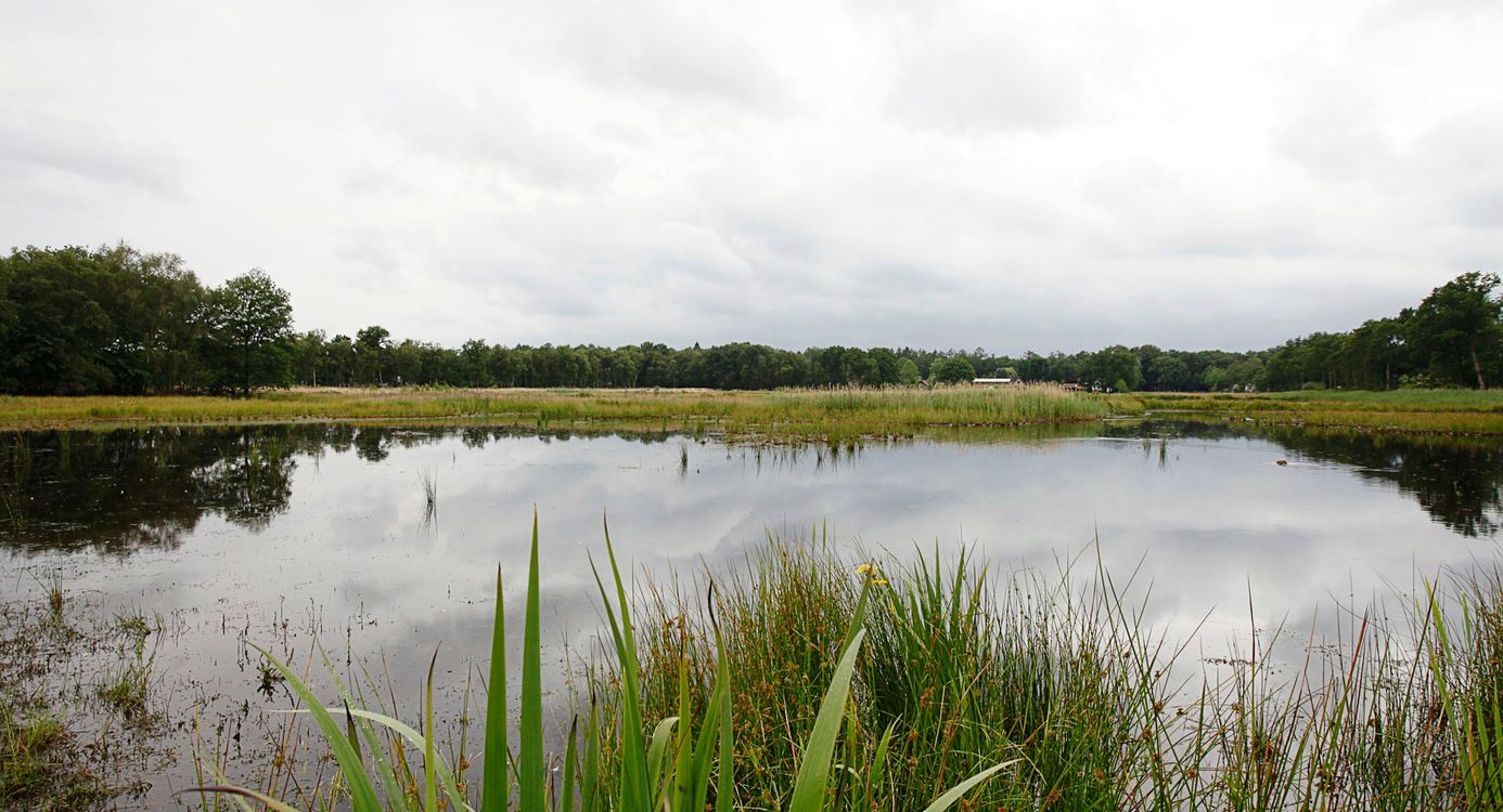 Soesterveen waterplas
