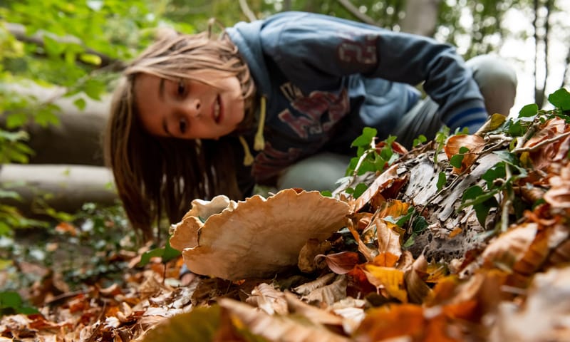 Kind met paddenstoel in de herfst