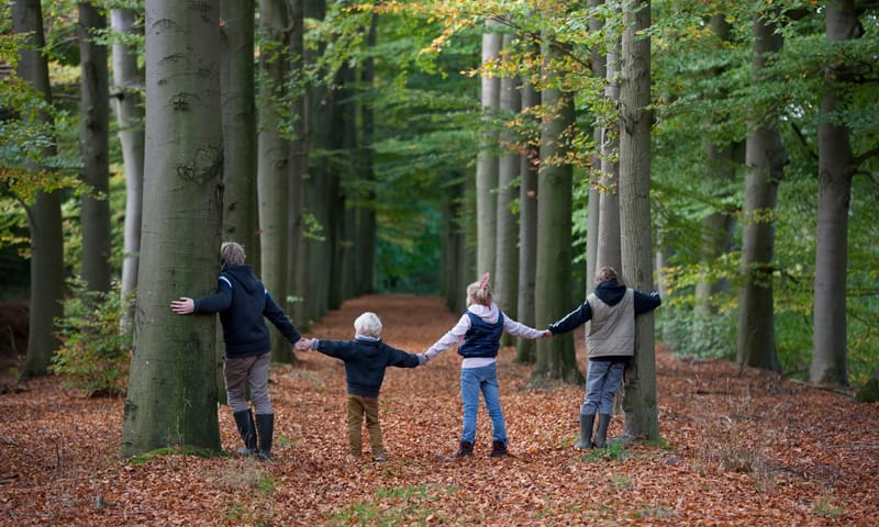laan op Dorth