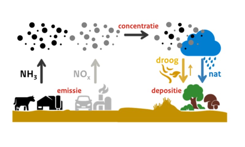 stikstof