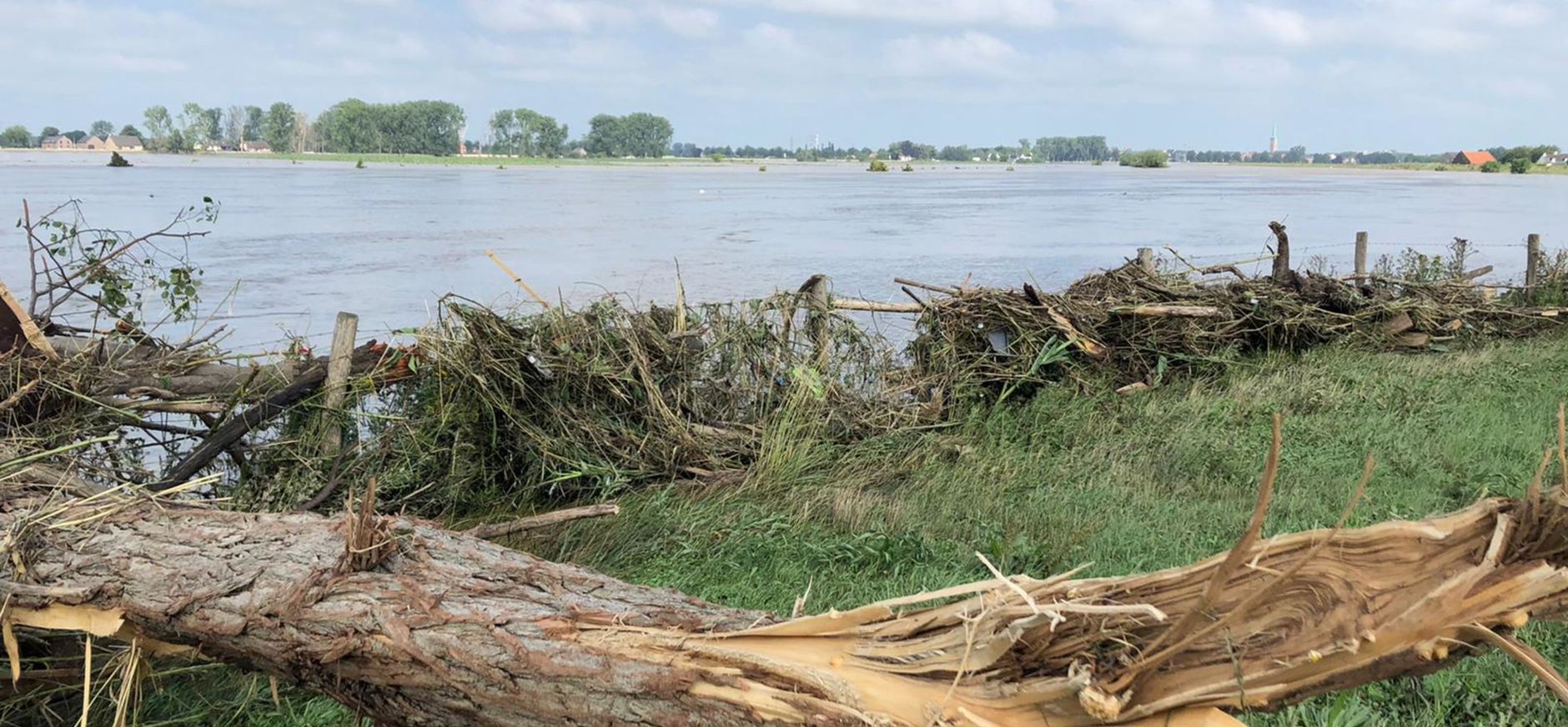 hoogwater en boomstam