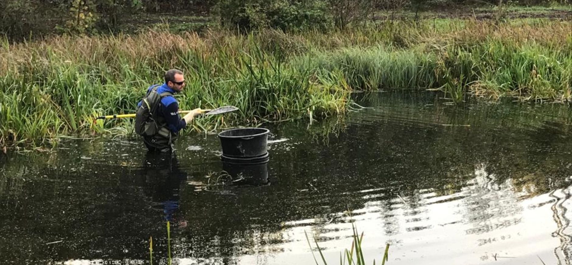 afvissen Molenplas