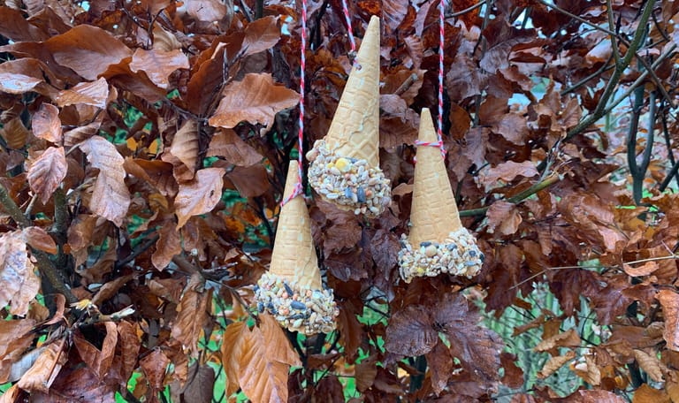 Winterse ijsjes maken voor vogels