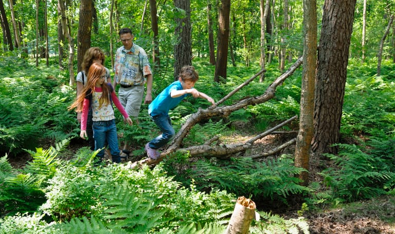 Op Hees wandelen in bos
