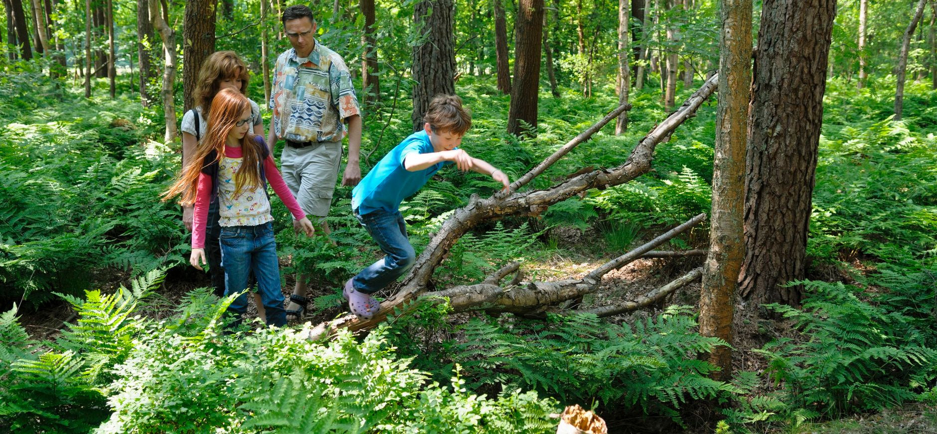 Op Hees wandelen in bos