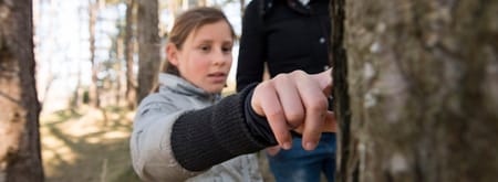 Diersporen zoeken