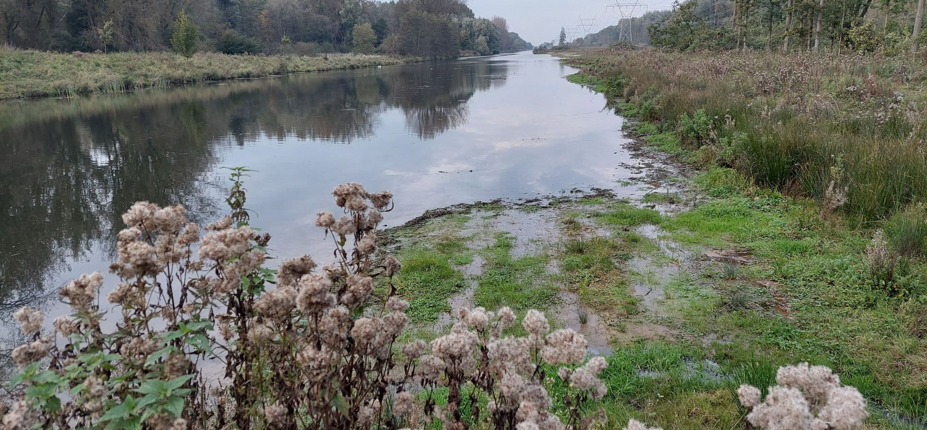 Natuurvriendelijke oevers