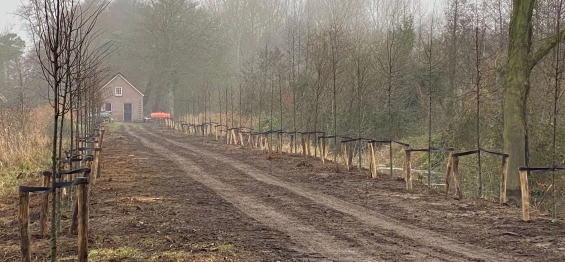 nieuwe laan Dorth