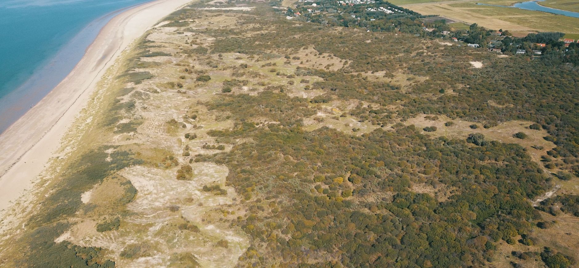 Springertduin - Foto: Jan de Roon, Natuurmonumenten