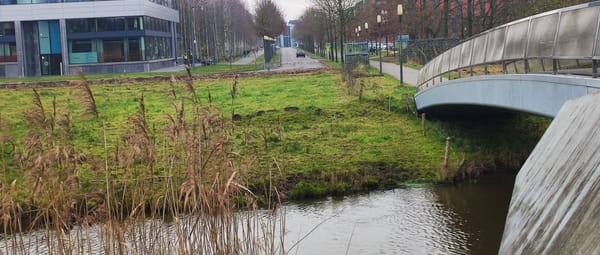 Dommel bij High Tech Campus
