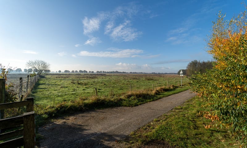 Koningsven - De Diepen Toon Hermans