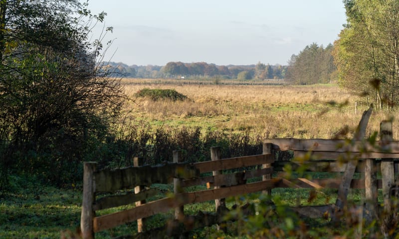 Koningsven - De Diepen Toon Hermans