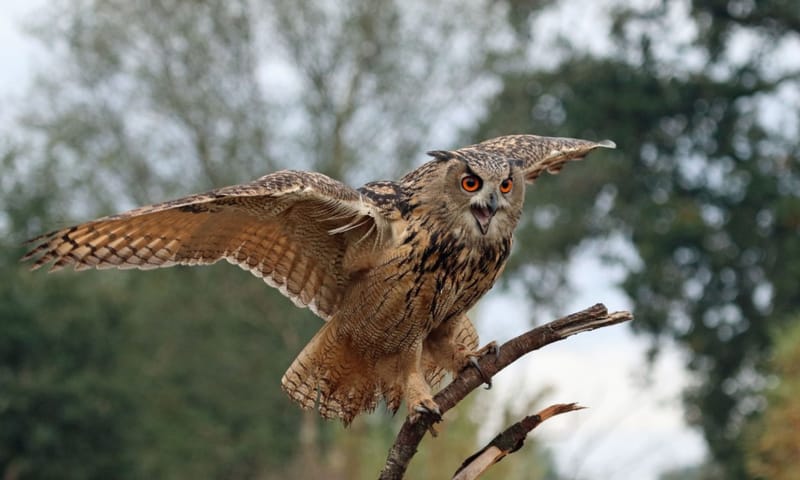 sint-pietersberg popelmondedal