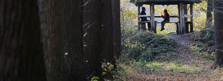 Koepelroute theekoepel