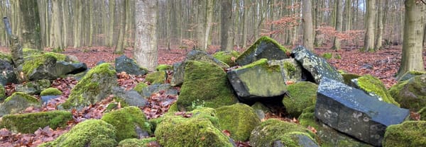 Keien langs Wendelbosroute